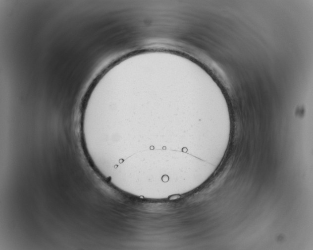 X0000102831376200809151029