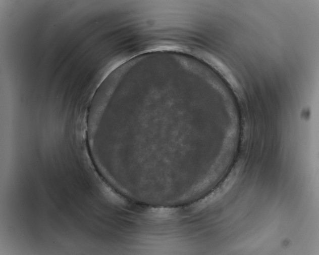 X0000102831377200809151029