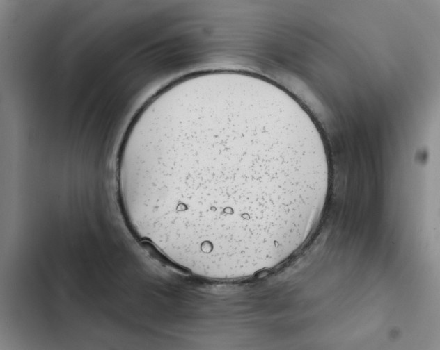 X0000102831380200809151029