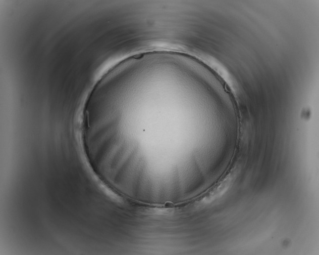 X0000102831381200809151029