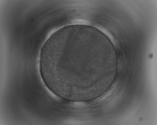 X0000102831383200809151029