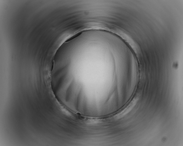 X0000102831385200809151029