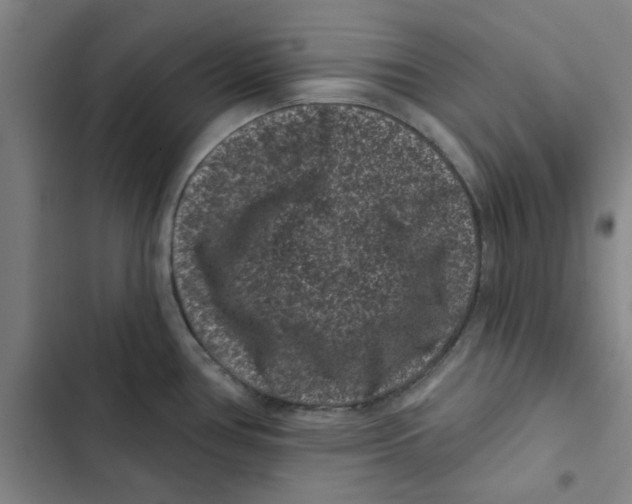 X0000102831386200809151029