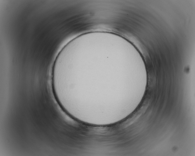 X0000102831387200809151029