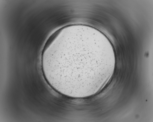 X0000102831388200809151029