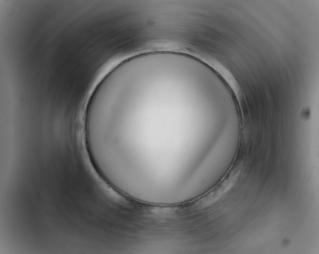 X0000102831389200809151029