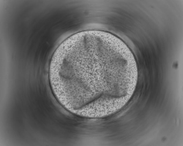 X0000102831390200809151029