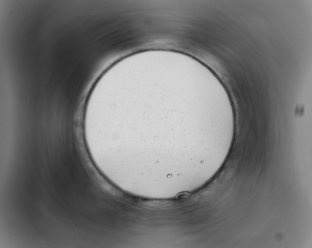 X0000102831392200809151029