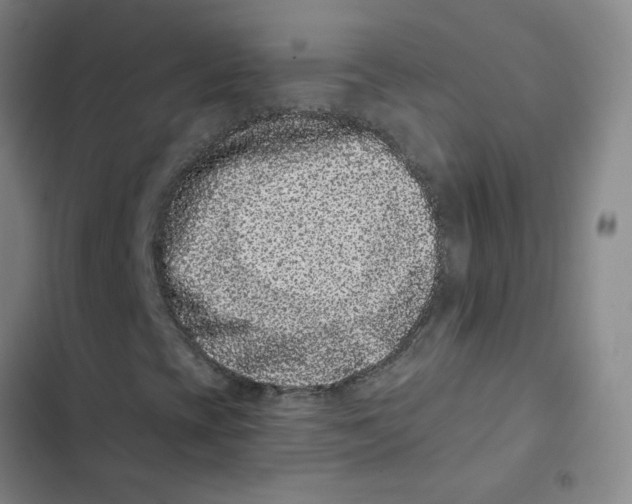 X0000102831393200809151028