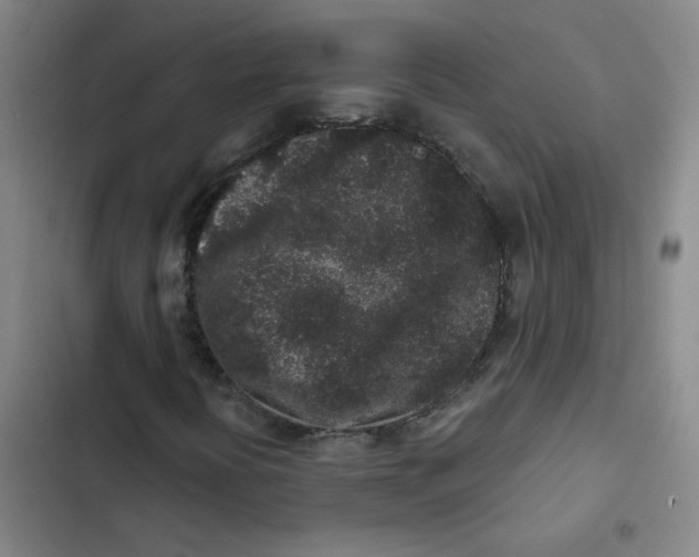 X0000102831394200809151028