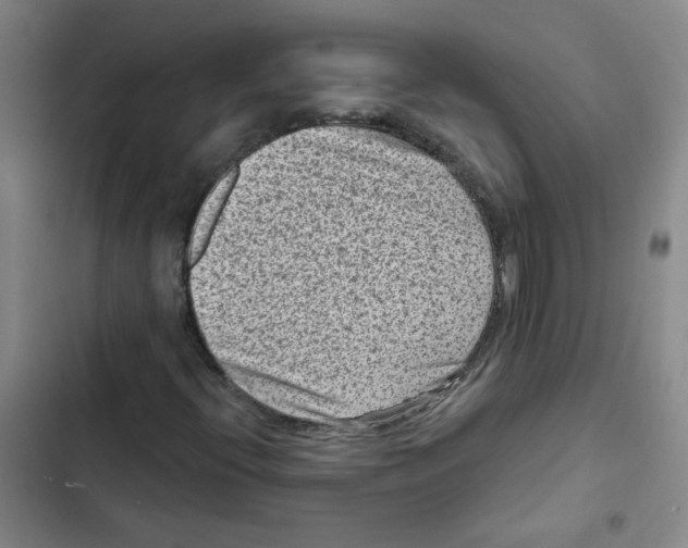 X0000102831396200809151028