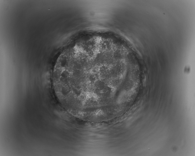 X0000102831397200809151028