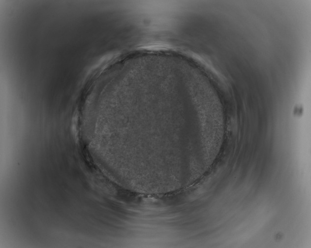 X0000102831398200809151028