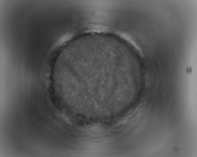 X0000102831399200809151028