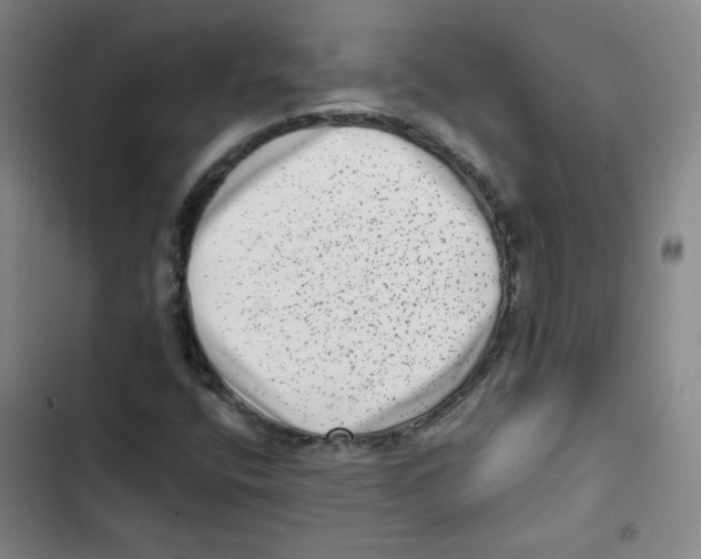 X0000102831400200809151028