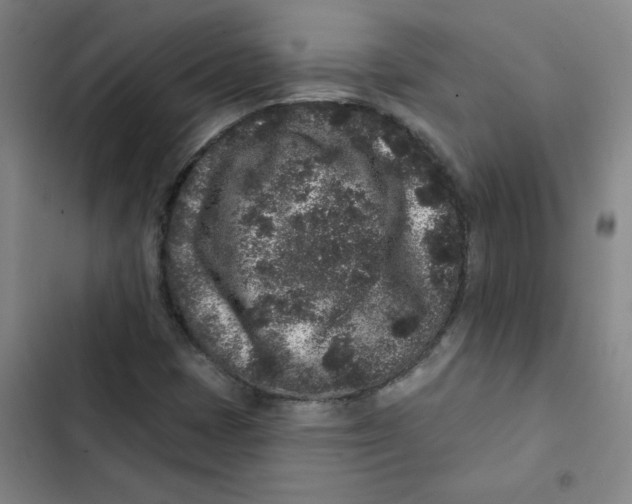 X0000102831401200809151028