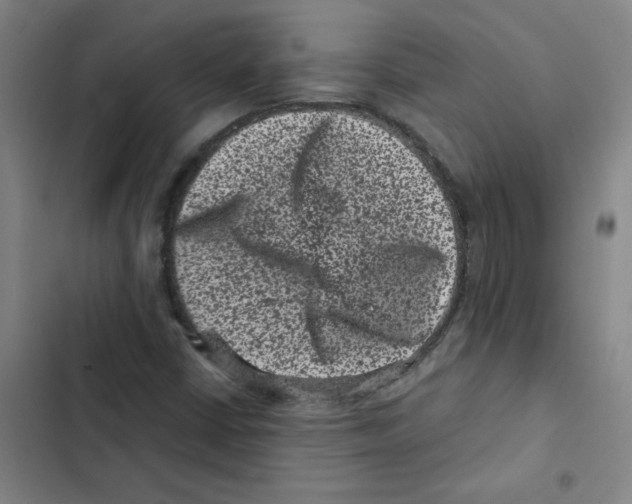X0000102831402200809151028