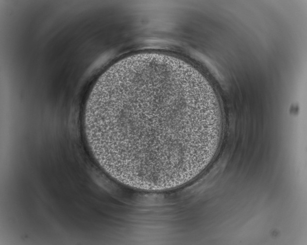 X0000102831403200809151028
