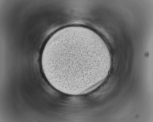 X0000102831404200809151028