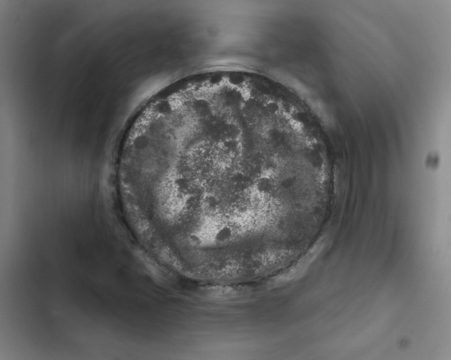 X0000102831405200809151028
