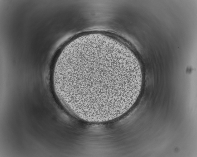 X0000102831406200809151028