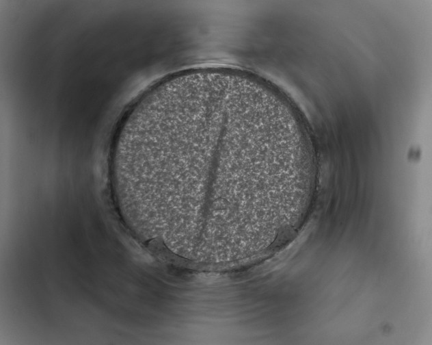 X0000102831407200809151028