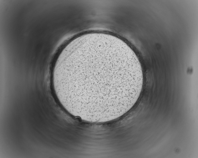 X0000102831408200809151028