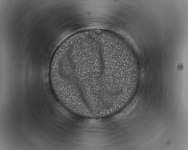 X0000102831409200809151028