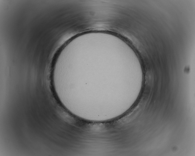 X0000102831410200809151028