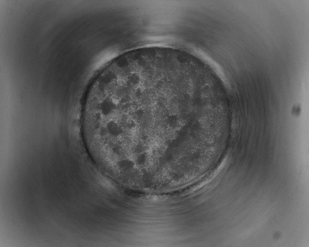 X0000102831411200809151028