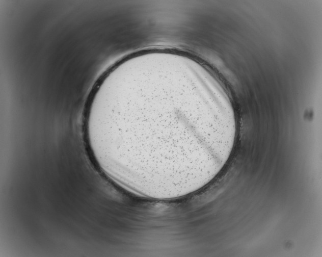 X0000102831412200809151028