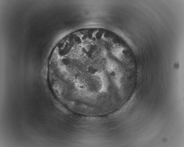 X0000102831413200809151028