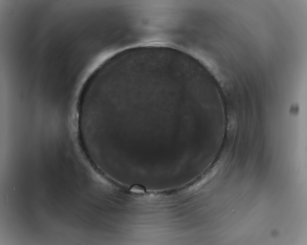 X0000102831414200809151028