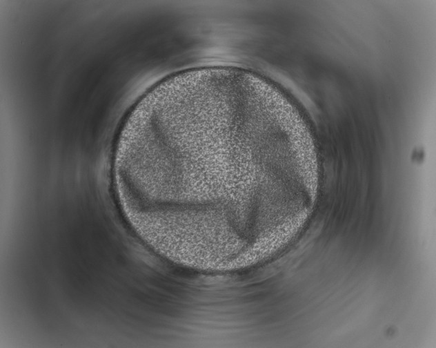 X0000102831415200809151028