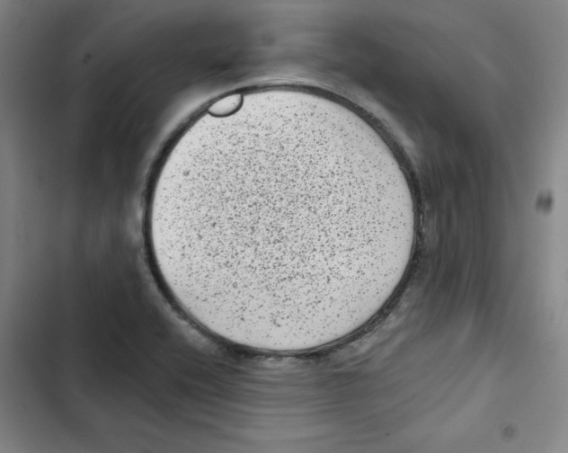 X0000102831416200809151028
