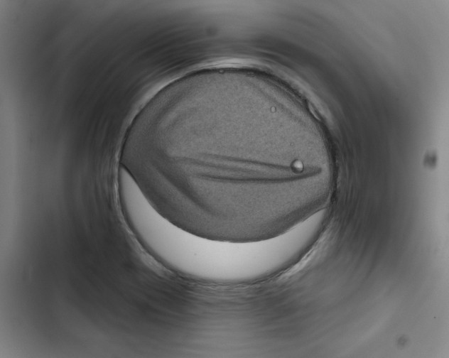 X0000102831417200809151028
