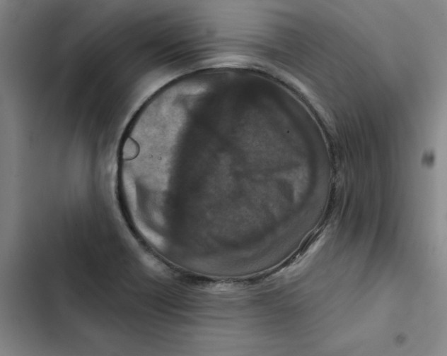 X0000102831418200809151028