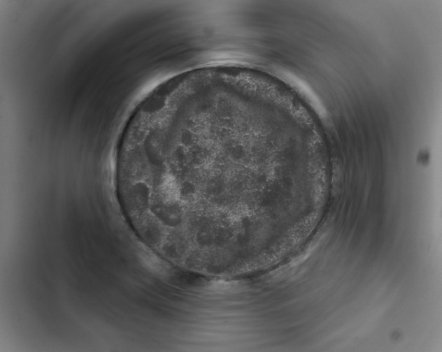 X0000102831419200809151028