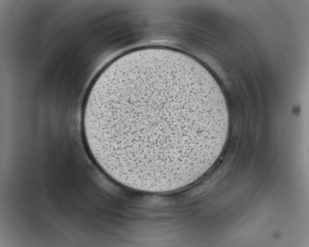 X0000102831420200809151028