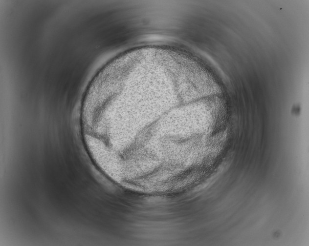 X0000102831421200809151028