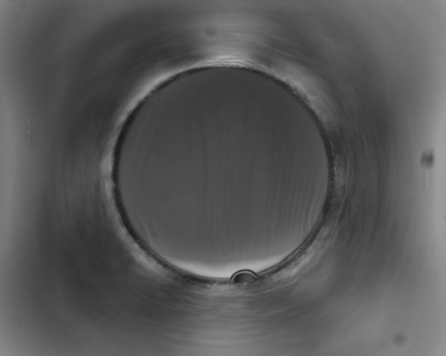 X0000102831422200809151028