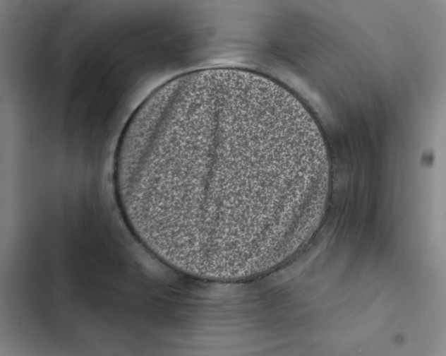 X0000102831423200809151028