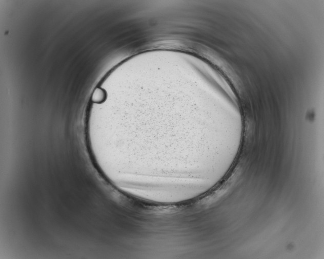 X0000102831426200809151028