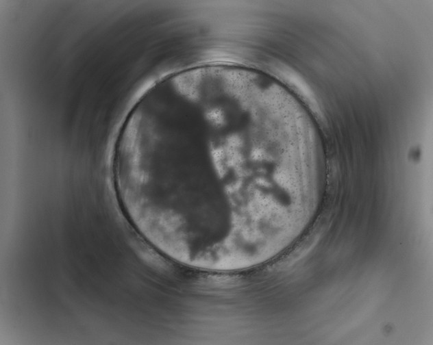 X0000102831427200809151028
