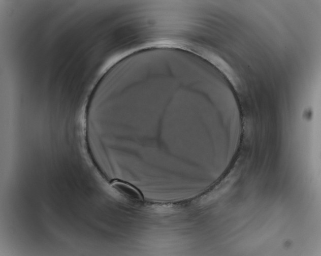 X0000102831428200809151029