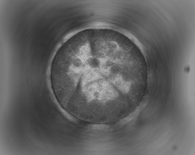 X0000102831429200809151029