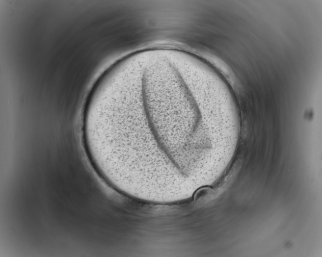 X0000102831430200809151029