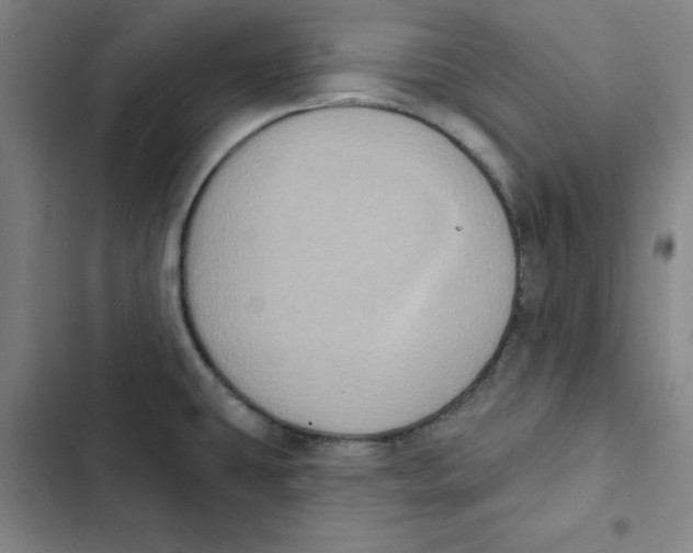 X0000102831431200809151029