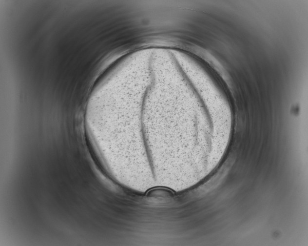 X0000102831433200809151029