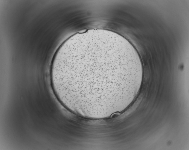 X0000102831434200809151029